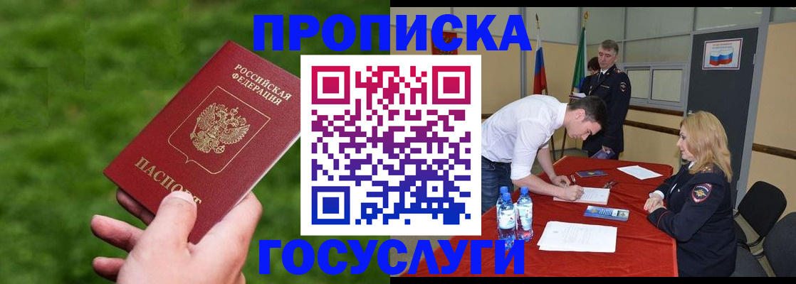 где прописаться в Каменке